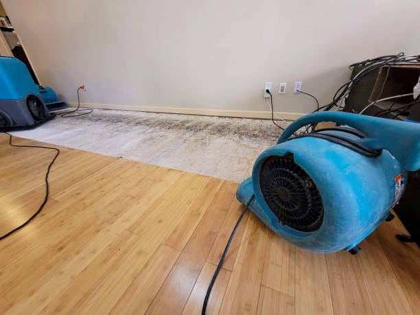 Professional Water Extraction technician working in Tuckahoe, VA